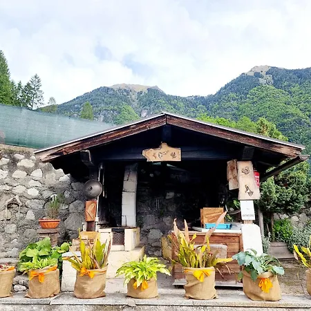 Adamello 2 Pinzolo