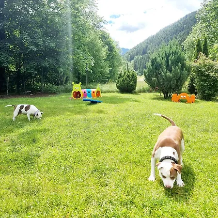 Camping Adamello 2 *
